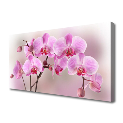 Quadro em tela Flores Planta Natureza