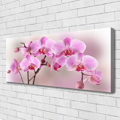 Quadro em tela Flores Planta Natureza