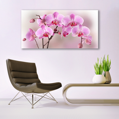 Quadro em tela Flores Planta Natureza