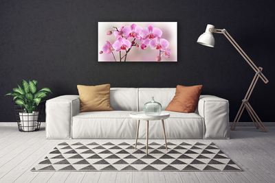 Quadro em tela Flores Planta Natureza