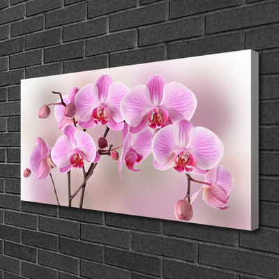 Quadro em tela Flores Planta Natureza