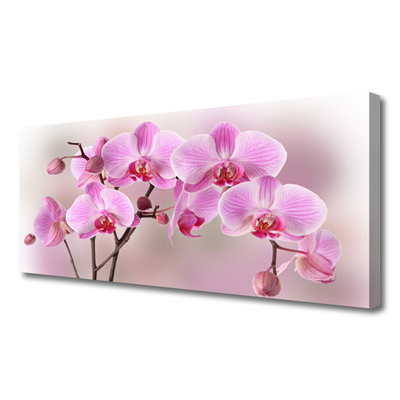 Quadro em tela Flores Planta Natureza