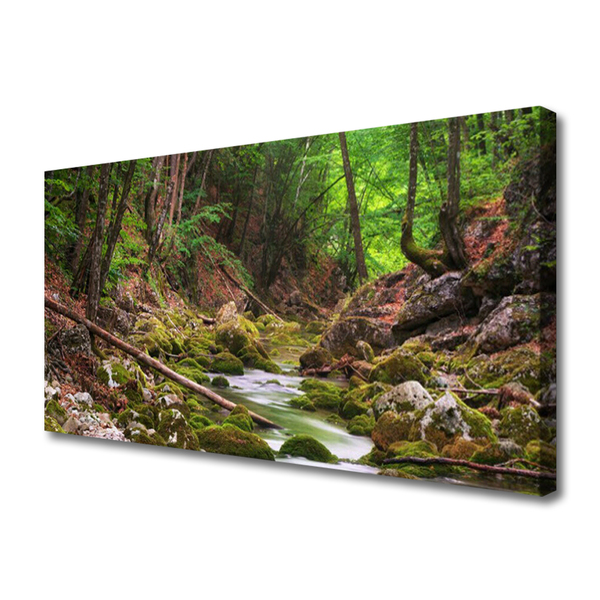 Quadro canvas Natureza do musgo da floresta