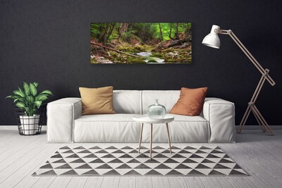 Quadro canvas Natureza do musgo da floresta