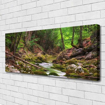 Quadro canvas Natureza do musgo da floresta