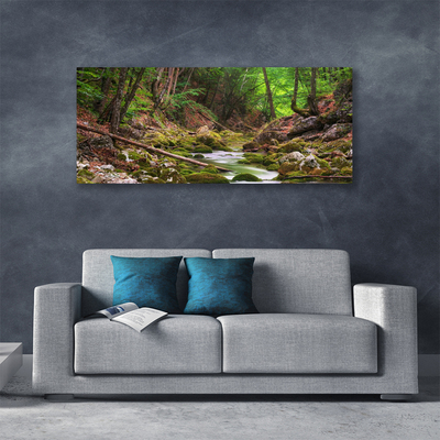 Quadro canvas Natureza do musgo da floresta