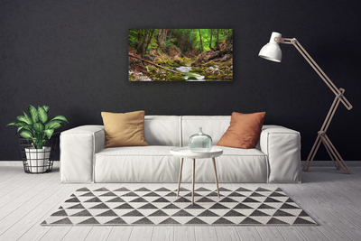 Quadro canvas Natureza do musgo da floresta