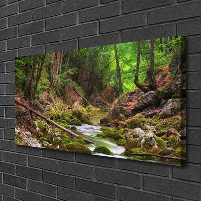 Quadro canvas Natureza do musgo da floresta