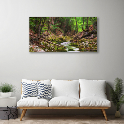 Quadro canvas Natureza do musgo da floresta
