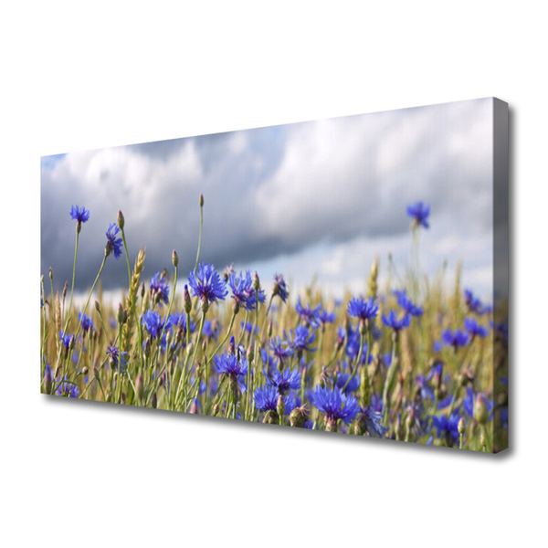 Quadro canvas Flores Planta Natureza