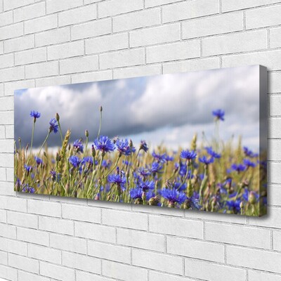 Quadro canvas Flores Planta Natureza