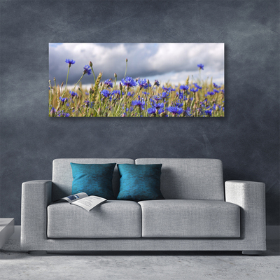 Quadro canvas Flores Planta Natureza