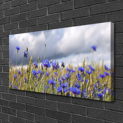Quadro canvas Flores Planta Natureza