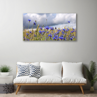 Quadro canvas Flores Planta Natureza