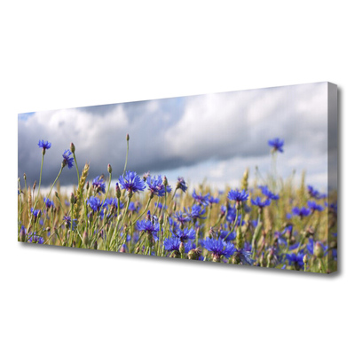 Quadro canvas Flores Planta Natureza