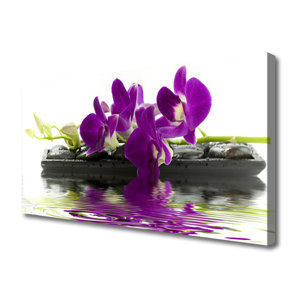 Quadro em tela Flores Planta Natureza
