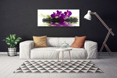 Quadro em tela Flores Planta Natureza