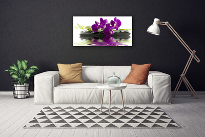 Quadro em tela Flores Planta Natureza