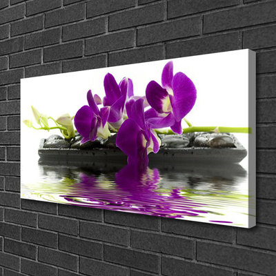 Quadro em tela Flores Planta Natureza