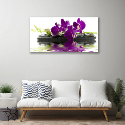 Quadro em tela Flores Planta Natureza