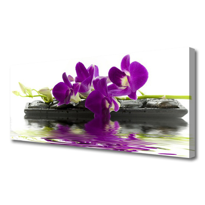 Quadro em tela Flores Planta Natureza