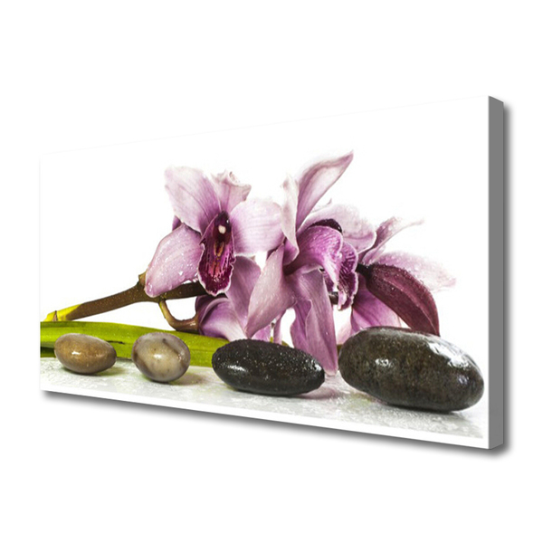 Quadro canvas Planta de pedras de flores