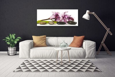 Quadro canvas Planta de pedras de flores