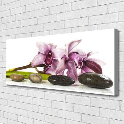 Quadro canvas Planta de pedras de flores