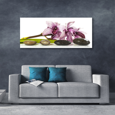 Quadro canvas Planta de pedras de flores