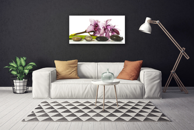 Quadro canvas Planta de pedras de flores