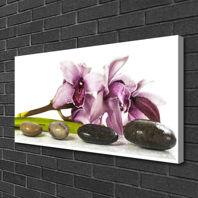 Quadro canvas Planta de pedras de flores