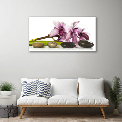 Quadro canvas Planta de pedras de flores