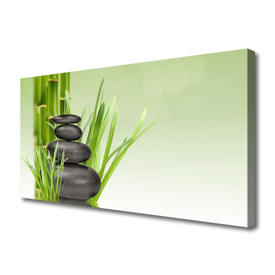 Quadro canvas Planta de grama de bambu Natureza