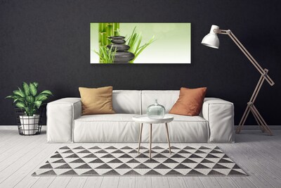 Quadro canvas Planta de grama de bambu Natureza