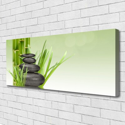 Quadro canvas Planta de grama de bambu Natureza