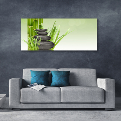 Quadro canvas Planta de grama de bambu Natureza