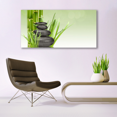 Quadro canvas Planta de grama de bambu Natureza