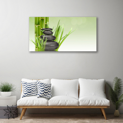 Quadro canvas Planta de grama de bambu Natureza