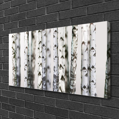 Quadro em tela Árvores Natureza