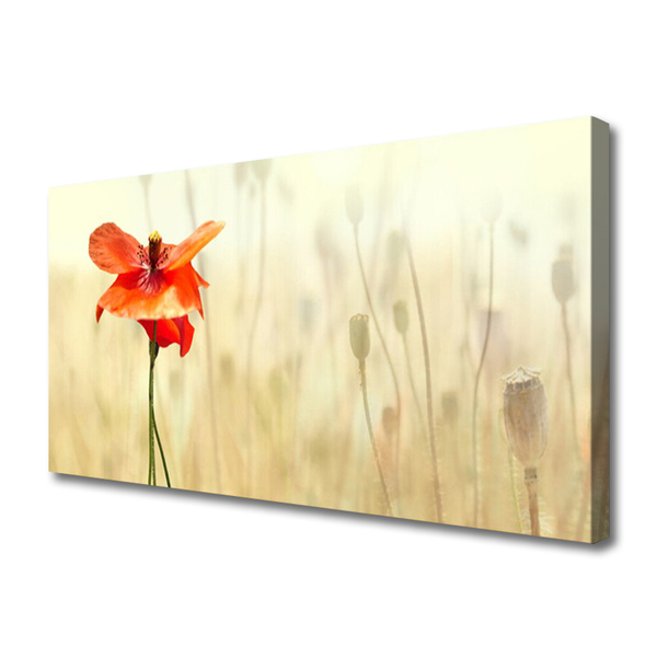 Quadro canvas Papoulas Plantam Natureza
