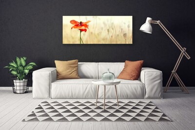 Quadro canvas Papoulas Plantam Natureza