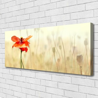 Quadro canvas Papoulas Plantam Natureza