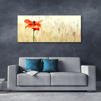 Quadro canvas Papoulas Plantam Natureza