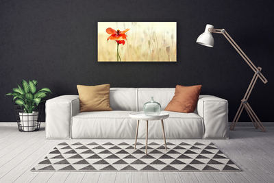 Quadro canvas Papoulas Plantam Natureza