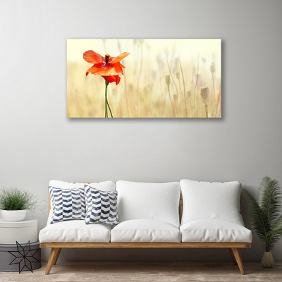 Quadro canvas Papoulas Plantam Natureza