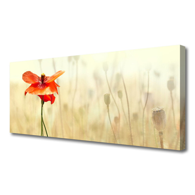 Quadro canvas Papoulas Plantam Natureza