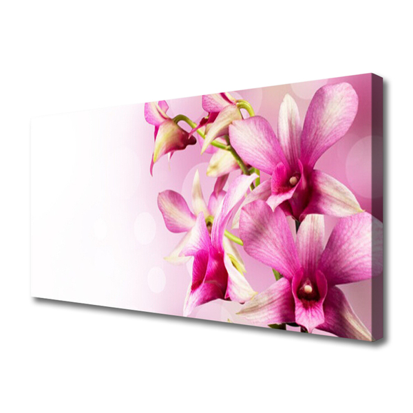 Quadro em tela Flores Planta Natureza