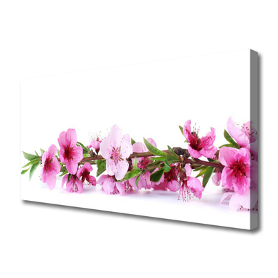 Quadro canvas Flores Planta Natureza