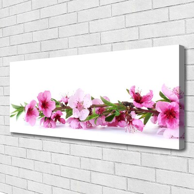 Quadro canvas Flores Planta Natureza