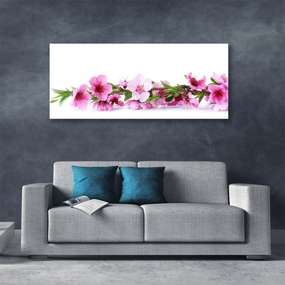 Quadro canvas Flores Planta Natureza